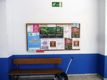 Pegada de carteles en interiores y accesos a universidades